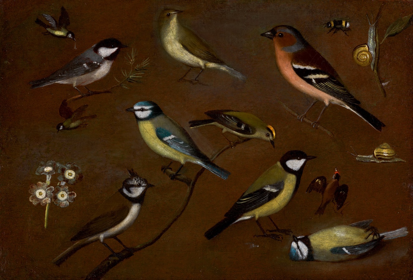 Eleven birds against a brown background, engaged in various activities: eating, flying, perching, and seemingly dead. The birds are different sizes and types. There are also two slugs, a bee, and some flowers pictured. 