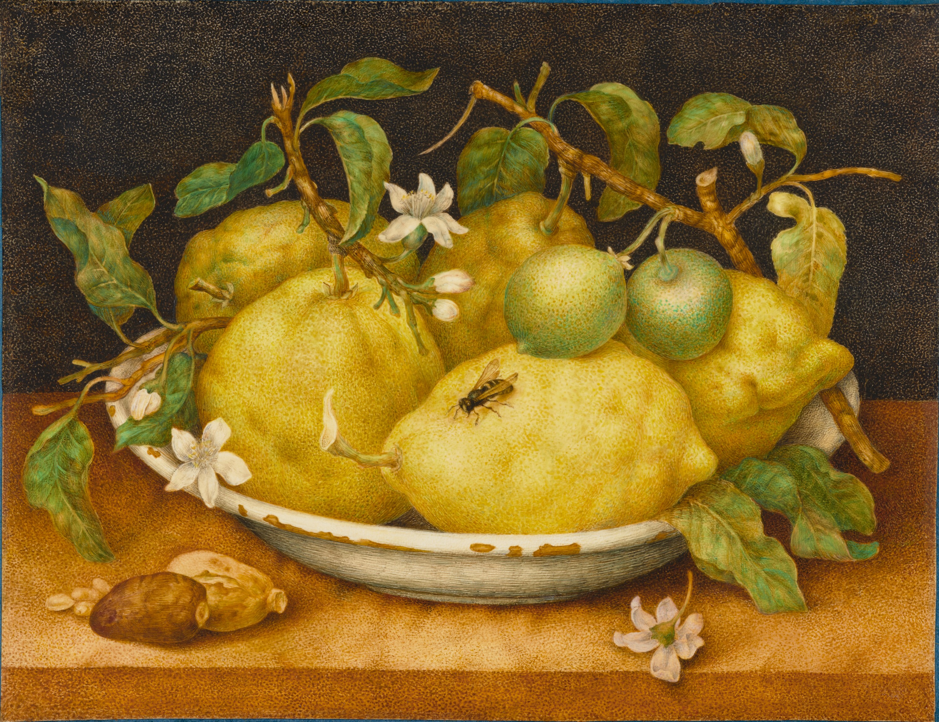 A still life painting of lemons in a white ceramic bowls. Two of the lemons are still green and there are blossoms still attached to the stem and branches. A bee is sitting on one lemon at the center of the composition. The bowl is positioned on a brown table with a dark, neutral background. 