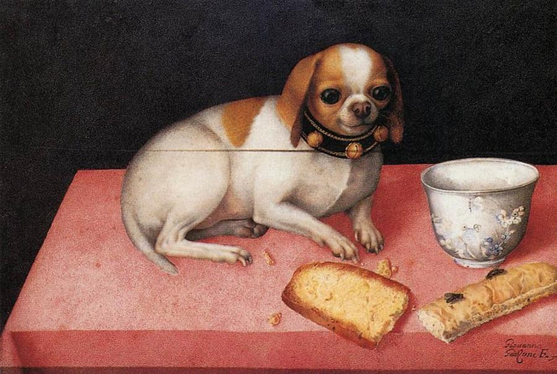A small brown and white dog sits smiling on a pink table, in front of a dark, neutral background. On the table there are two baked goods with some crumbs, as though the dog has been snacking on them. There is also a decorated ceramic cup. The dog wears a black color with three bells. 