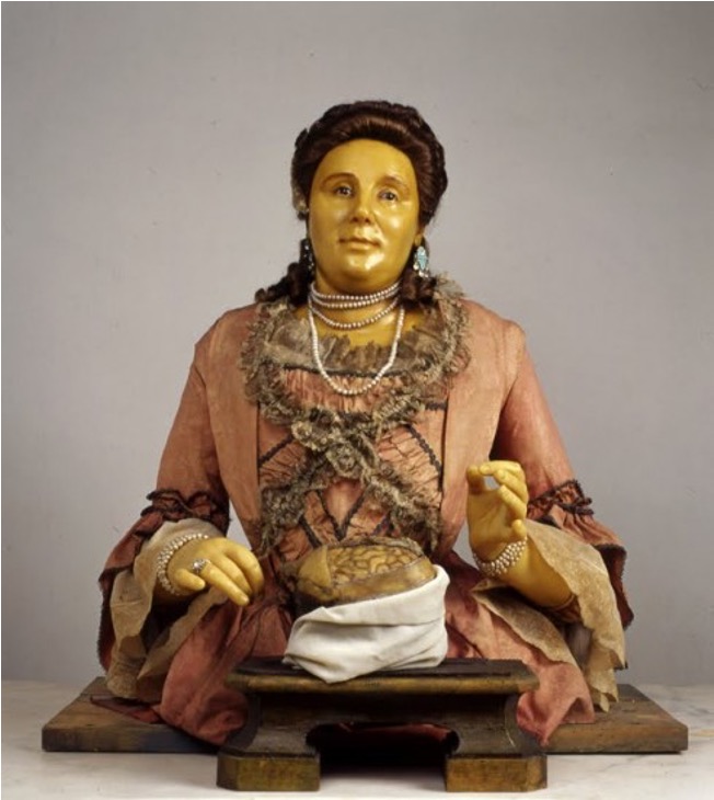A half-length wax sculpture portrait of the artist wearing an elaborate gown and jewels. She is looking straight ahead and at the table in front of her, there is human skull with the top part removed to show the folds of the brain inside. She has a slight smile and looks out at the viewer with the confidence of a skilled anatomist.  