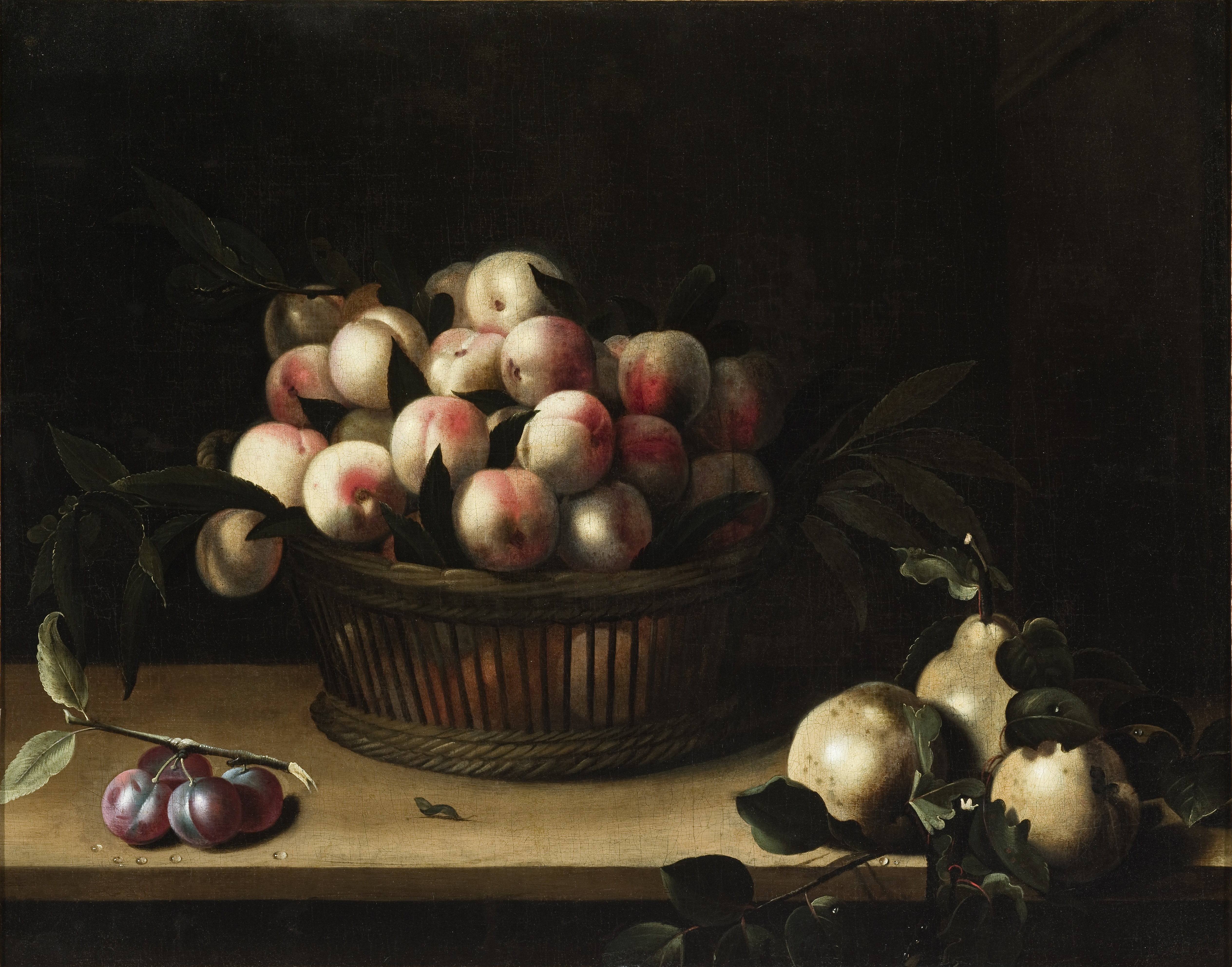 A woven basket filled with quinces rests on a table in this still life painting. There are plums and pears arranged on the simple wood table alongside the basket. The background is black and it is hard to distinguish the dark green leaves surrounding the quinces and the pears from the background.